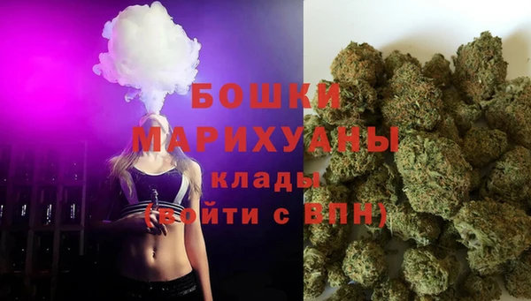 ECSTASY Богородицк